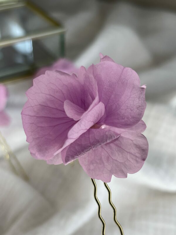 Couronne, boutonniére, peigne, boucle d'oreille en fleurs séchées maison cléome normandie caen